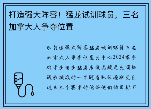 打造强大阵容！猛龙试训球员，三名加拿大人争夺位置